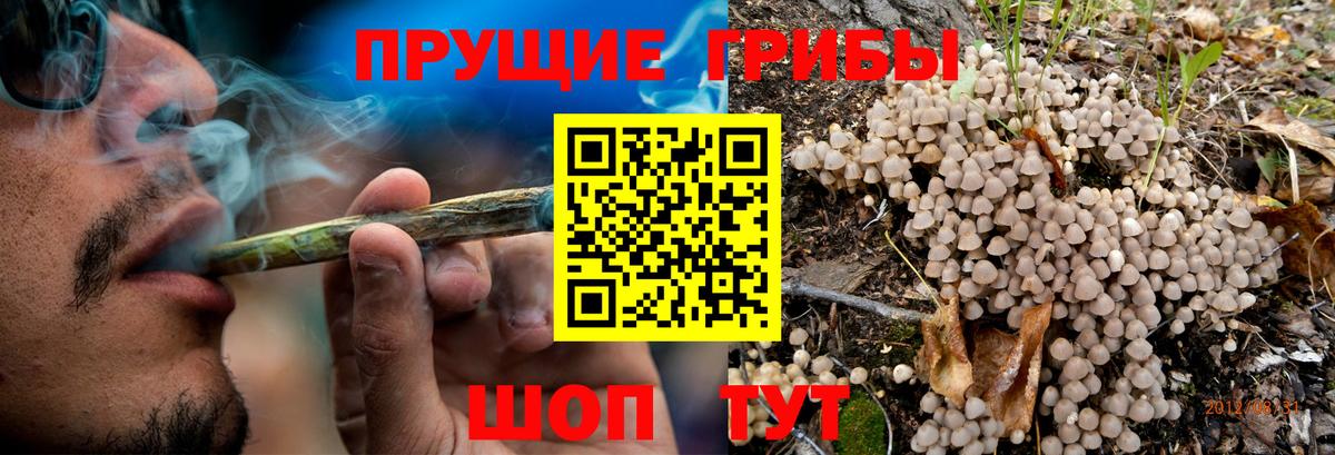 Псилоцибиновые грибы ЛСД Елабуга